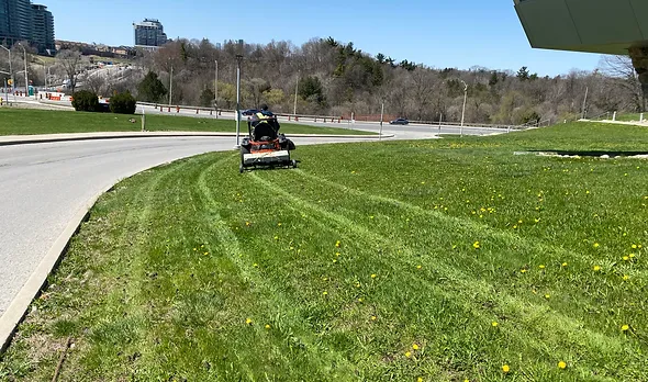 one landscaping toronto