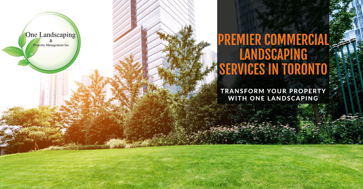 One landscaping Commercial landscaping service