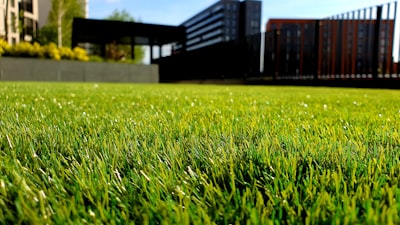 Spring Landscaping Prepares Your Garden for the Year