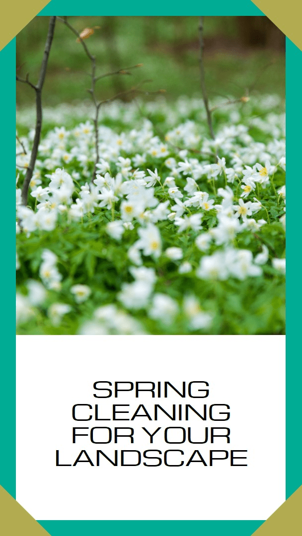spring cleaning by one landscaping