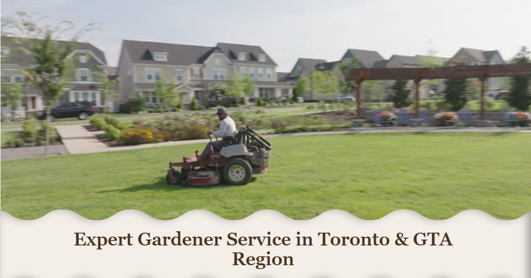 Expert Garderning service by one landscaping